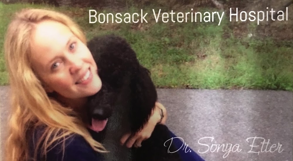 Bonsack Veterinary Hospital